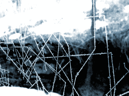 frost web