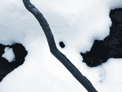 yinyang