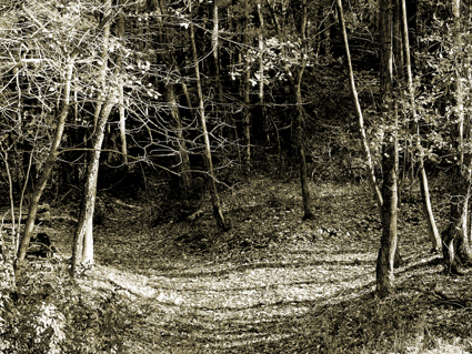 trail junction