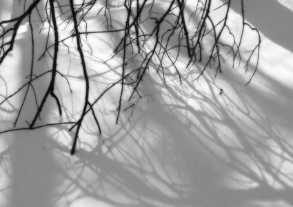 trapped