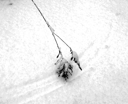 writing on the snow