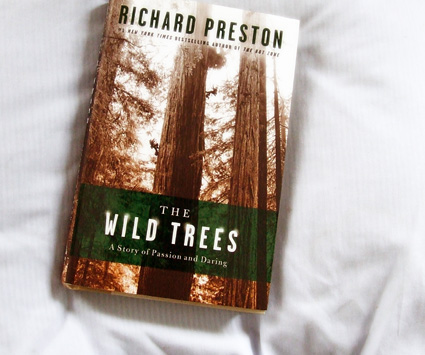 Wild Trees cover