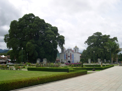 Santa Maria del Tule