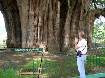 Mark Bonta prays to the Tule tree