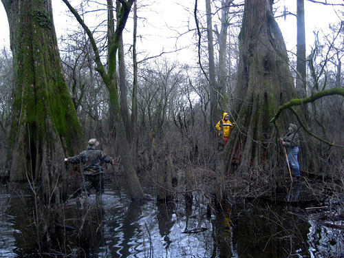 Sky Lake WMA, Mississippi