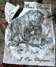 Bear Stories cover 
