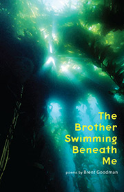 The Brother Swimming Beneath Me cover 