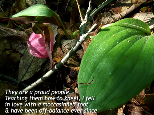 Poem: 'They are a proud people. Teaching them to kneel, I fell in love with a moccasinned foot, and have been off-balance ever since.
