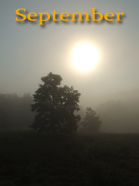September album cover