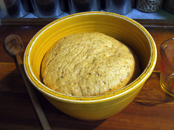 risen dough