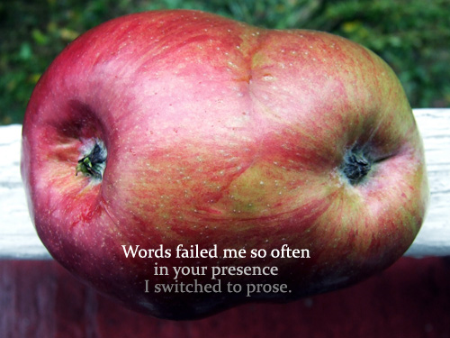poetry postcard: image of conjoined apples with text - Words failed me so often in your presence I switched to prose.