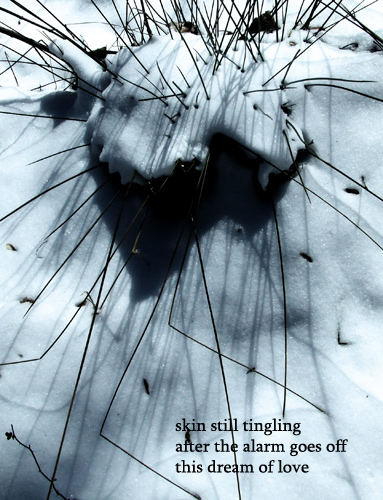 tuft with haiga